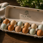 Farm Eggs