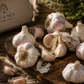 Fresh Garlic