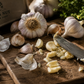 Fresh Garlic