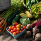 Seasonal Produce